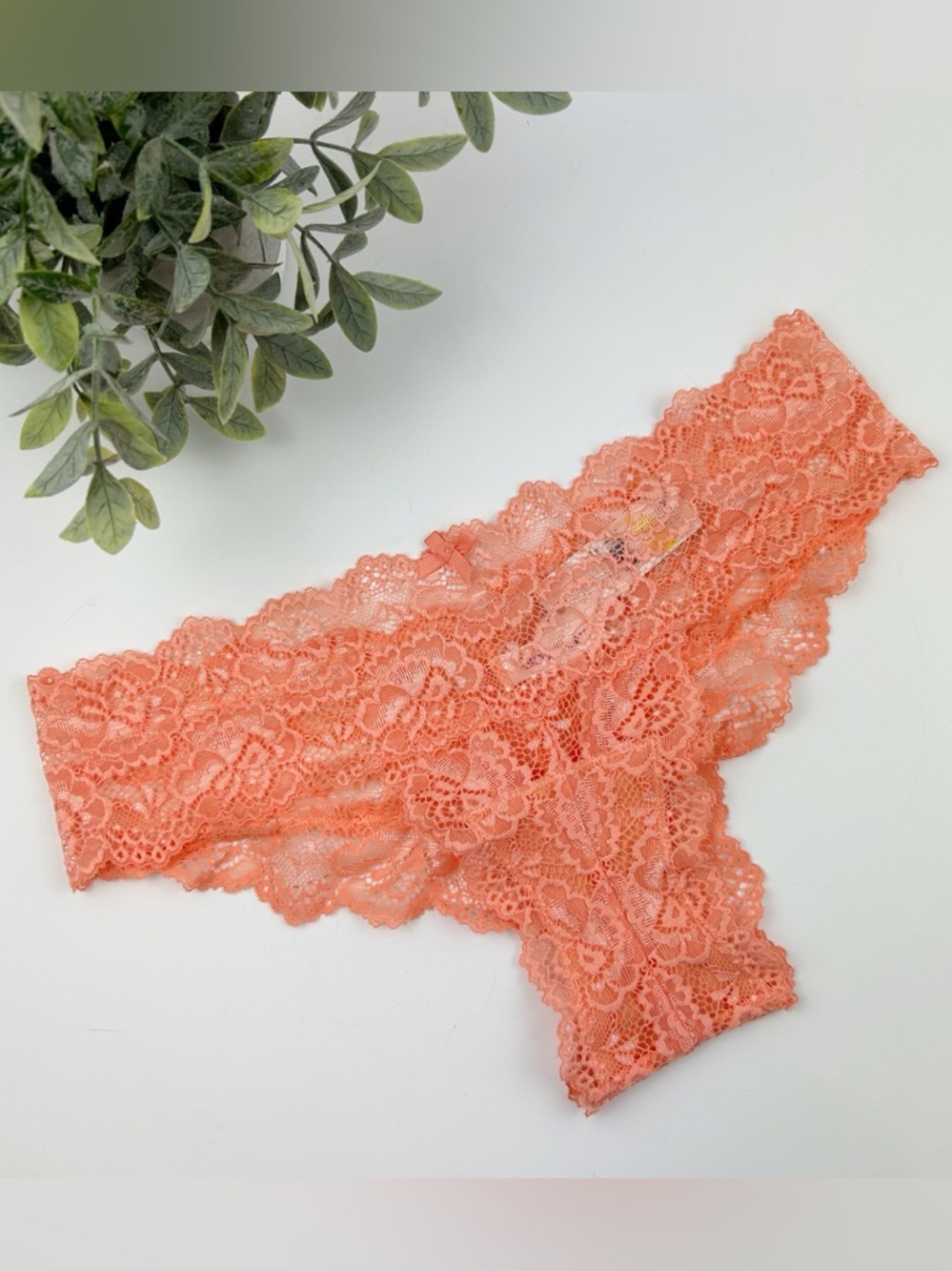 Skarlett Blue Goddess Coral Lace Cheeky Panty Size Medium